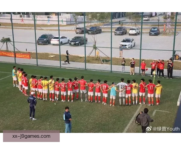 归化球员引发中国足球变革潮流推动联赛竞争升级